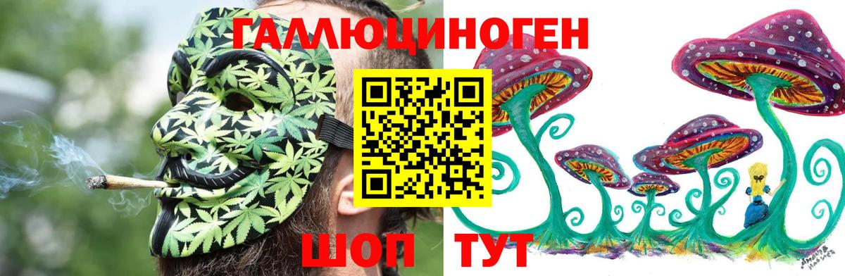 Псилоцибиновые грибы Psilocybe Салехард